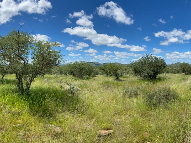 A panoramic view of the expansive natural landscape featuring indigenous trees and open grassland on this small holding property.