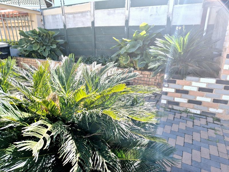 A private garden area featuring paved flooring, raised brick planter beds, and a secure boundary wall with electric fencing.