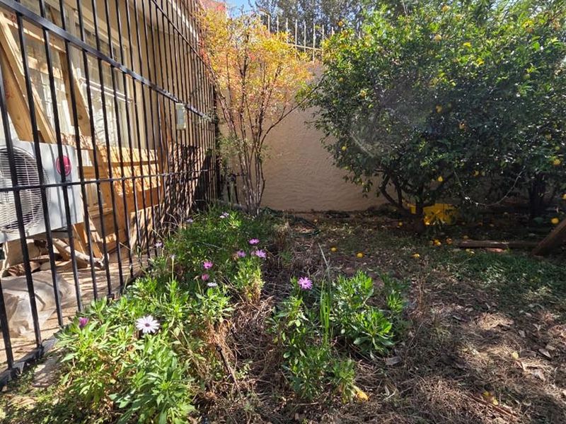 A rear garden area featuring a perimeter wall, established fruit tree, and security bars installed along the building exterior.
