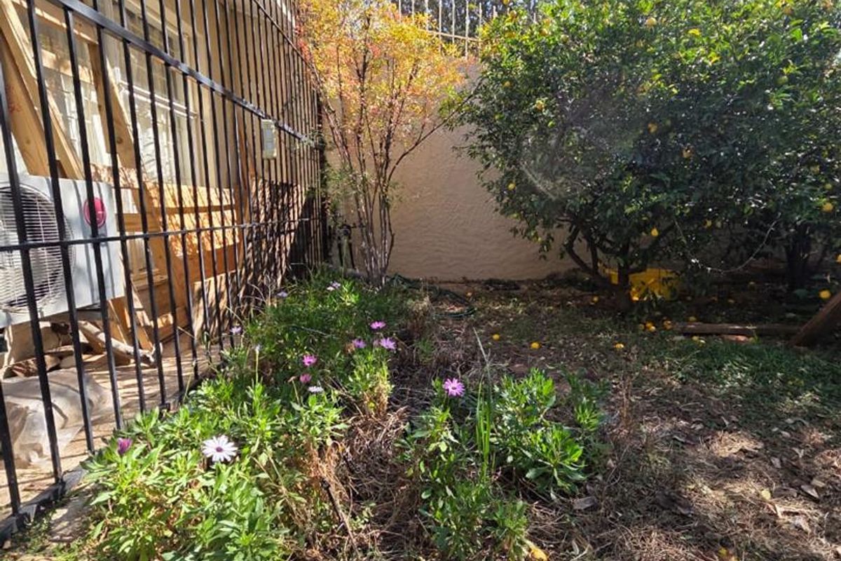 A rear garden area featuring a perimeter wall, established fruit tree, and security bars installed along the building exterior.