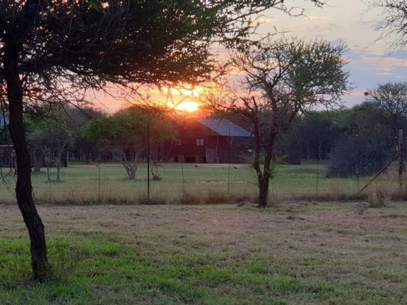 STUNNING 340-HECTARE GAME AND CATTLE FARM FOR SALE – JUST 8 KM FROM NABOOMSPRUIT - Photo 9