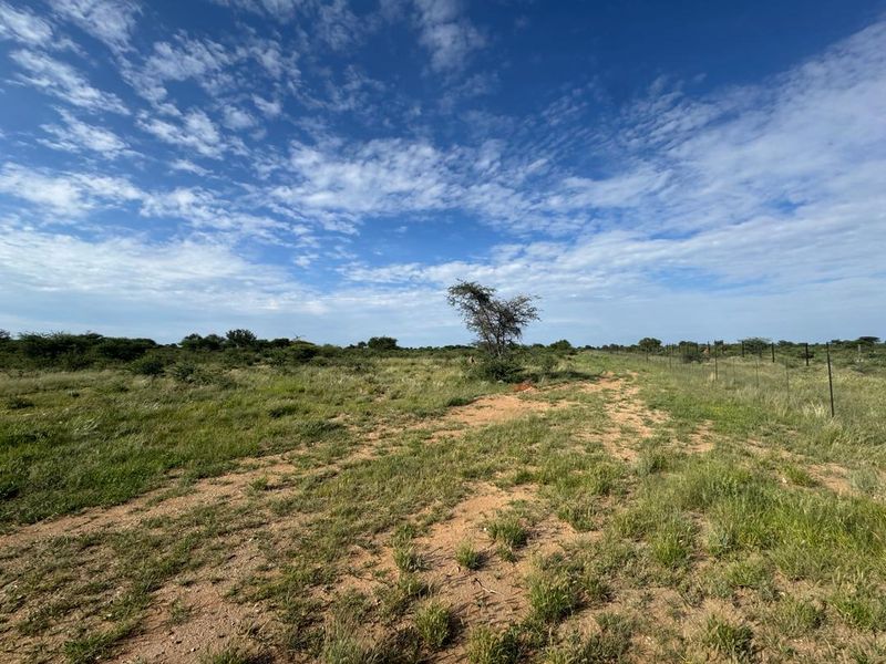 Some properties offer land. Others offer a lifestyle. This is an opportunity to create a retreat where family, nature, and freedom come together. - Photo 3