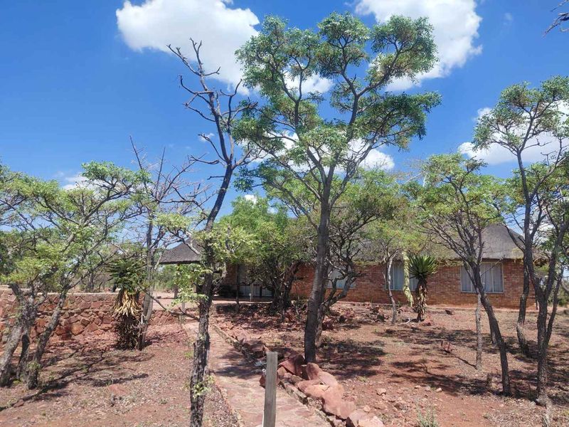 A rustic brick house with a traditional thatched roof, set within a natural bushveld garden featuring stone pathways and retaining walls.