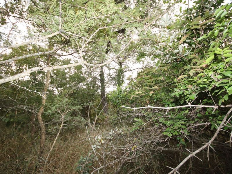 Vacant Land in MODITLO NATURE RESERVE - Photo 4