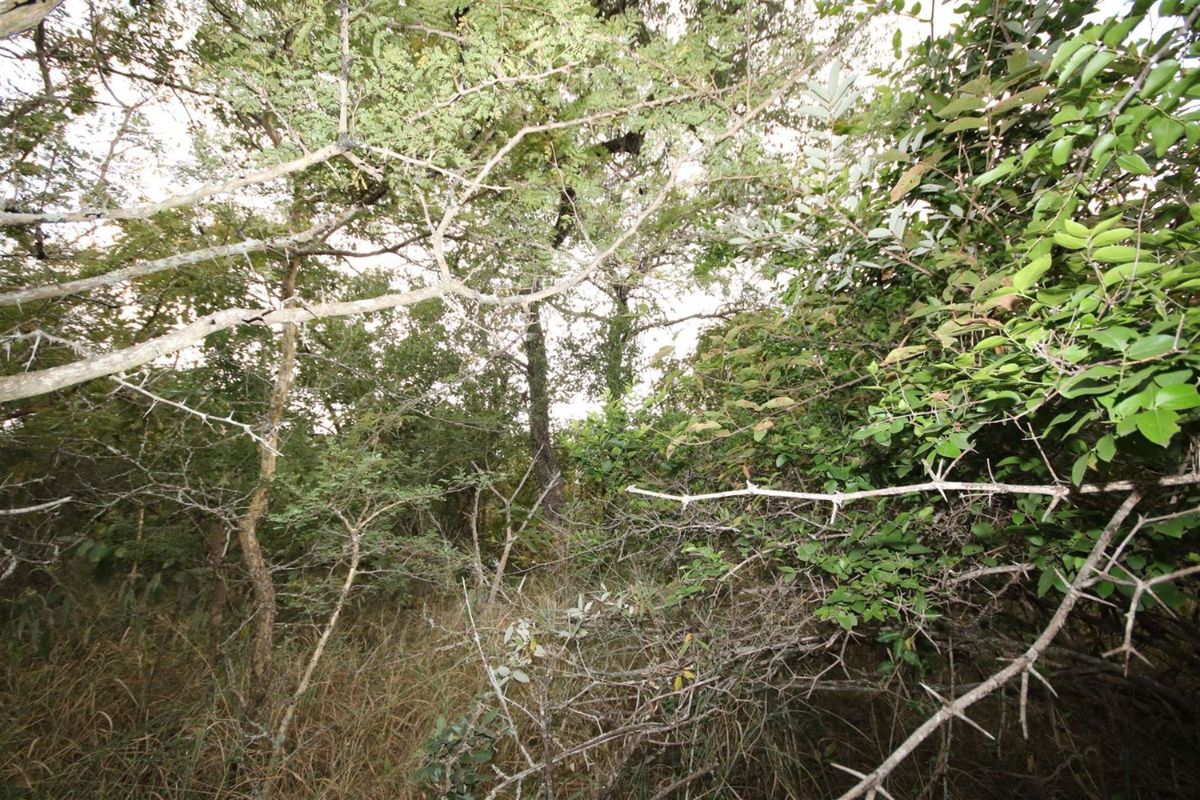 Vacant Land in MODITLO NATURE RESERVE - Photo 4