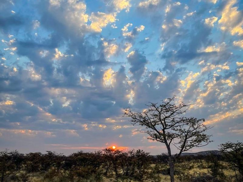 Luxury 6000ha Game Lodge & Stylish Campsite – Prime Tourism Investment! - Photo 7
