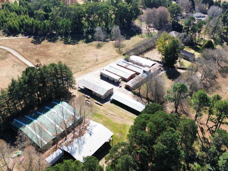 Midlands Legacy Estate – An Exceptional Agri-Tourism & Lifestyle Investment - Photo 10
