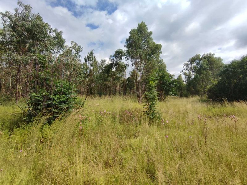 ELDORAIGNE - 6.8 Ha UNDEVELOPED AGRICULTURE LAND NEXT TO AN ELDO ESTATE - Photo 4
