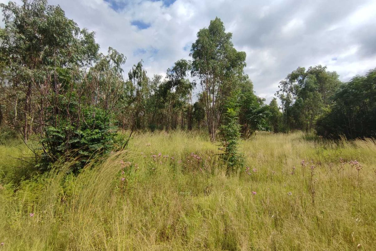 ELDORAIGNE - 6.8 Ha UNDEVELOPED AGRICULTURE LAND NEXT TO AN ELDO ESTATE - Photo 4
