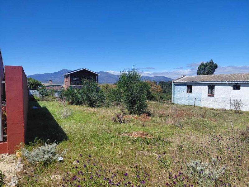 Vacant stand in popular Avenues - Photo 2