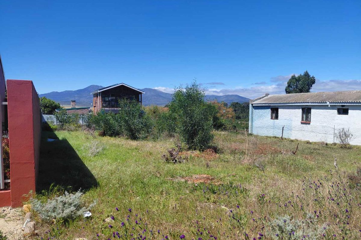 Vacant stand in popular Avenues - Photo 2