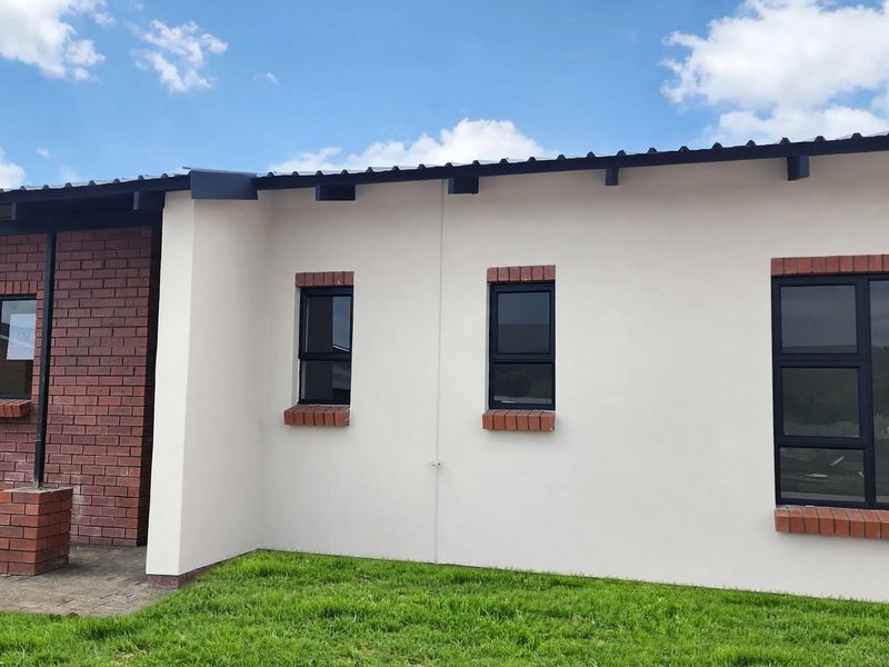 A well-maintained rear exterior view of the house featuring a combination of brick and plastered walls, modern aluminium windows, and a paved patio area.