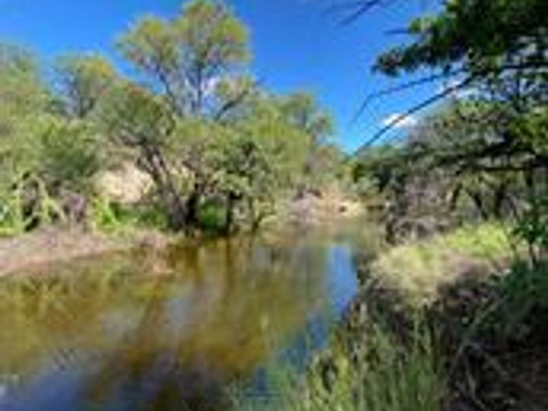A scenic view of a natural stream flowing through the farm landscape, surrounded by native trees and vegetation.