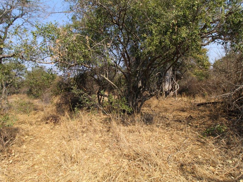 River front stand - Photo 9