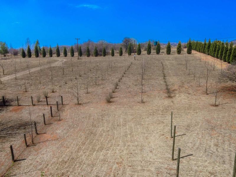 Air B & B For Sale on the Vaal River - Photo 4