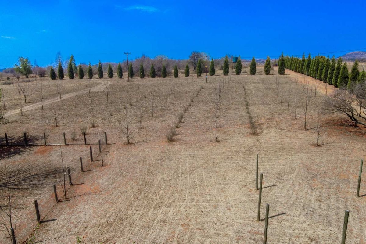 Air B & B For Sale on the Vaal River - Photo 4