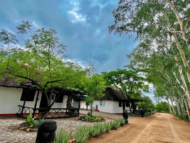 Ngandu Hotel: 25 Years of Success, Yours to Own! - Photo 2