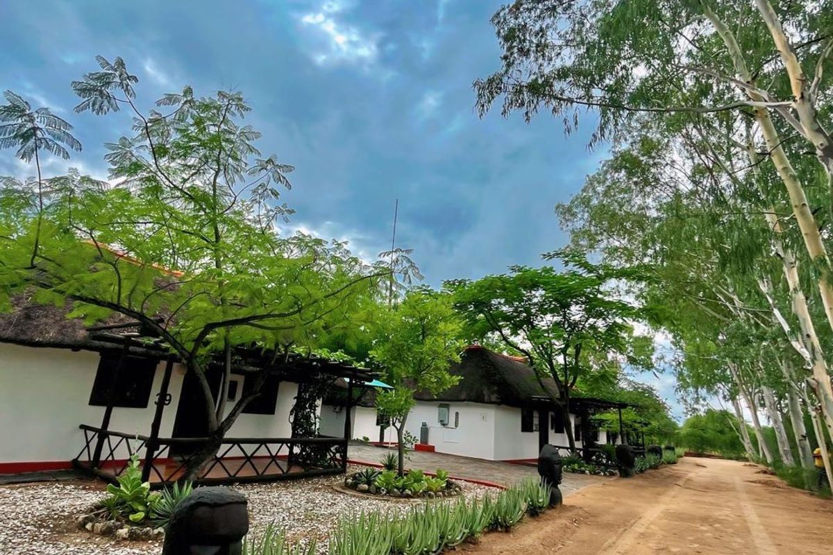 Ngandu Hotel: 25 Years of Success, Yours to Own! - Photo 2
