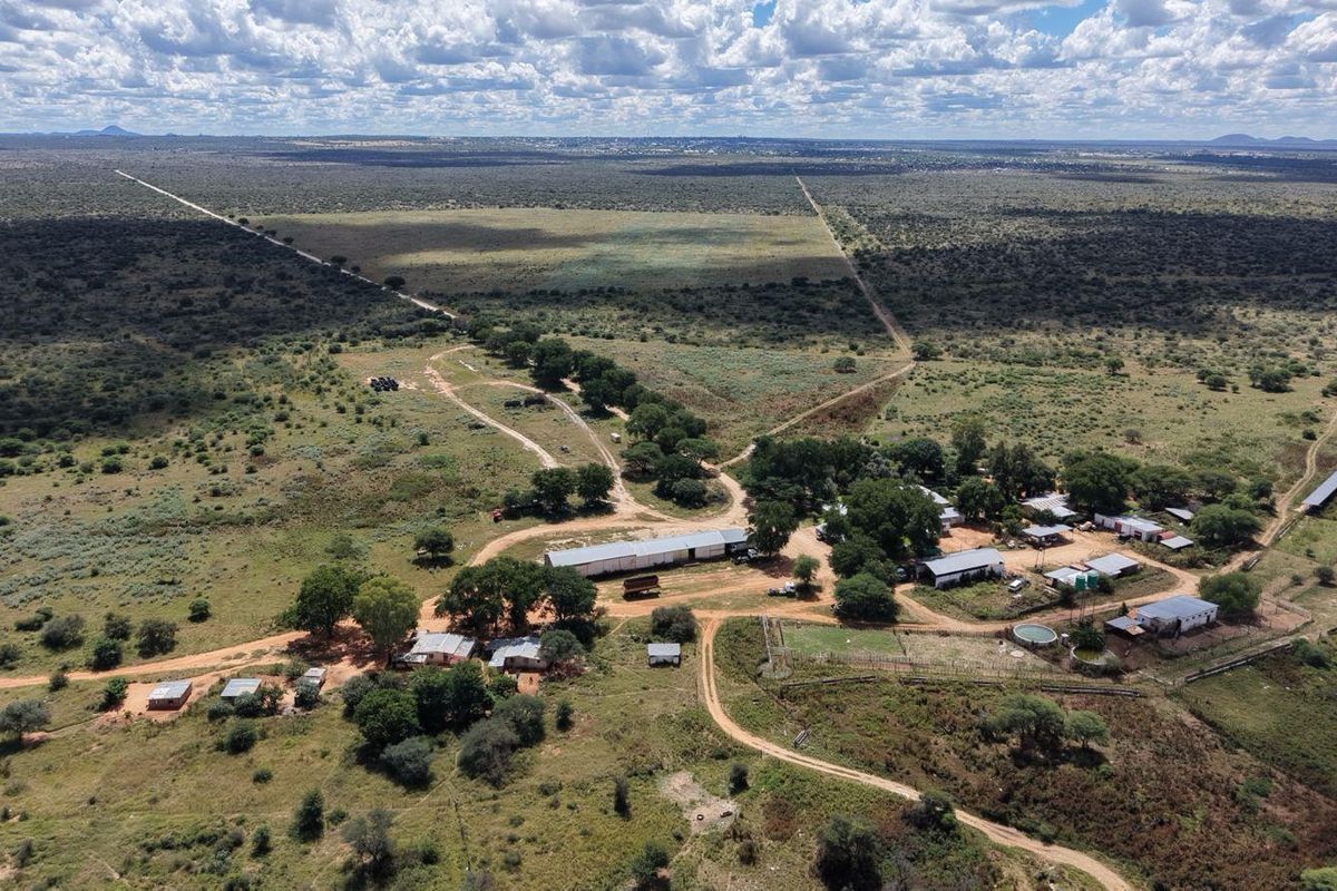 FEEDLOT FARM FOR SALE – GROOTFONTEIN - Photo 5