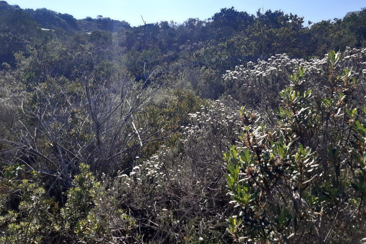 North - facing stand - Gamtoos Mouth Resort - Photo 3