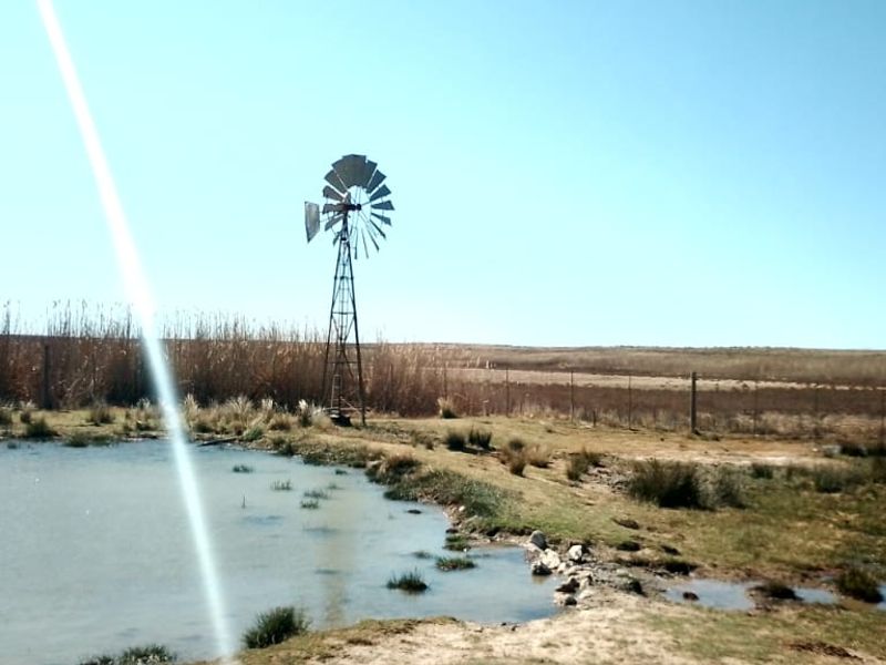 GAME AND CATTLE FARM.INEXHAUSTIBLE WATER.GAME FENCING WIRE.ALSO PLOWLANDS. - Photo 2