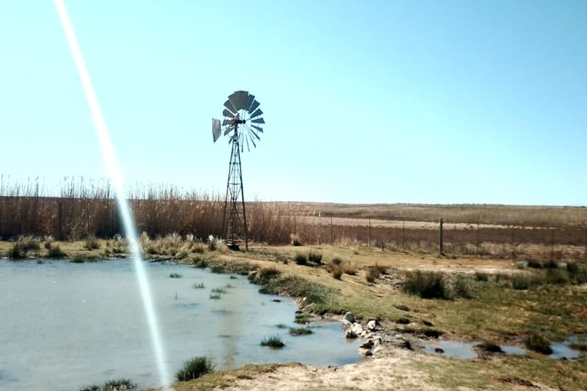 GAME AND CATTLE FARM.INEXHAUSTIBLE WATER.GAME FENCING WIRE.ALSO PLOWLANDS. - Photo 2