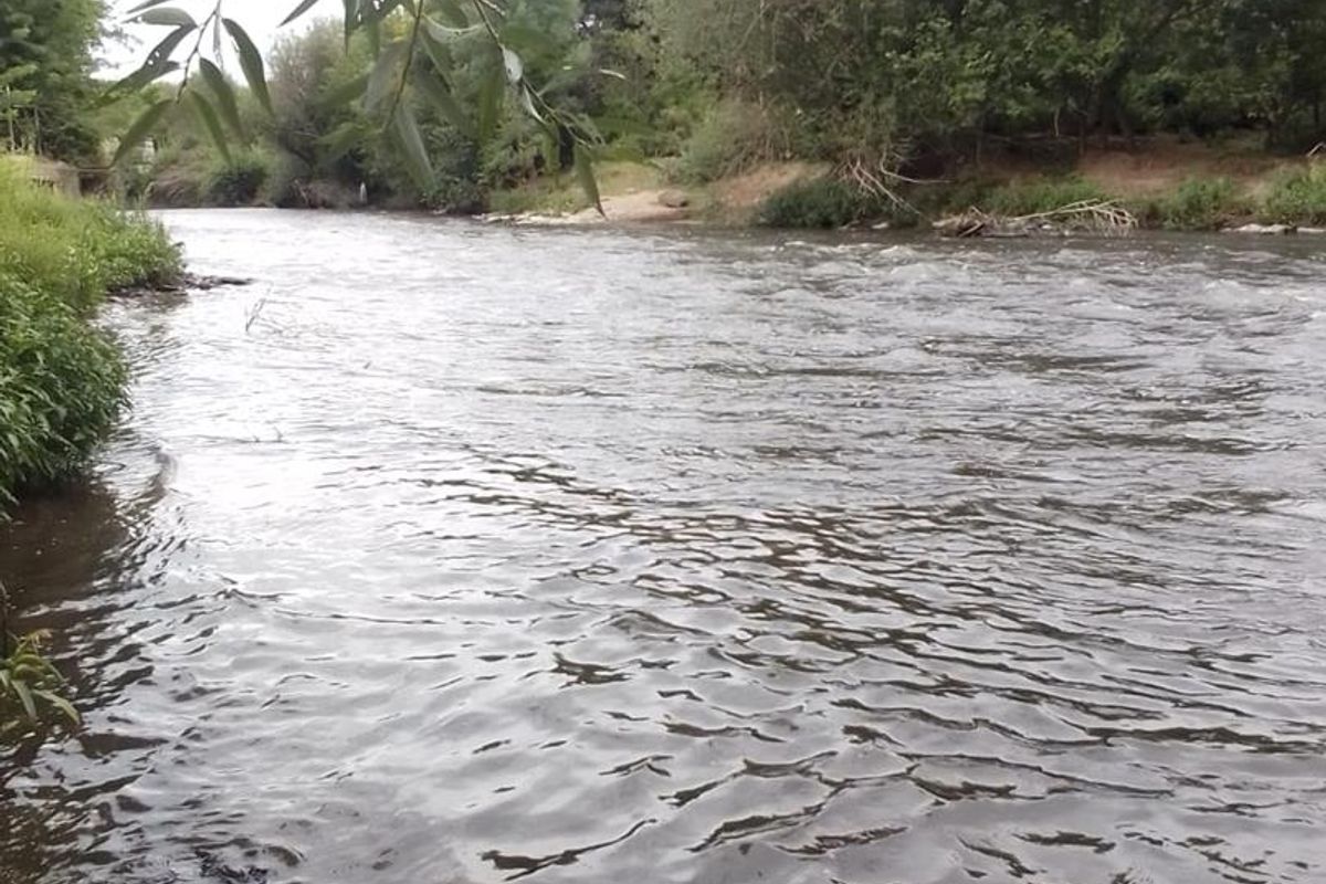 Small holding with lock up storage 3 bedroom house 2 flatlets - Photo 4