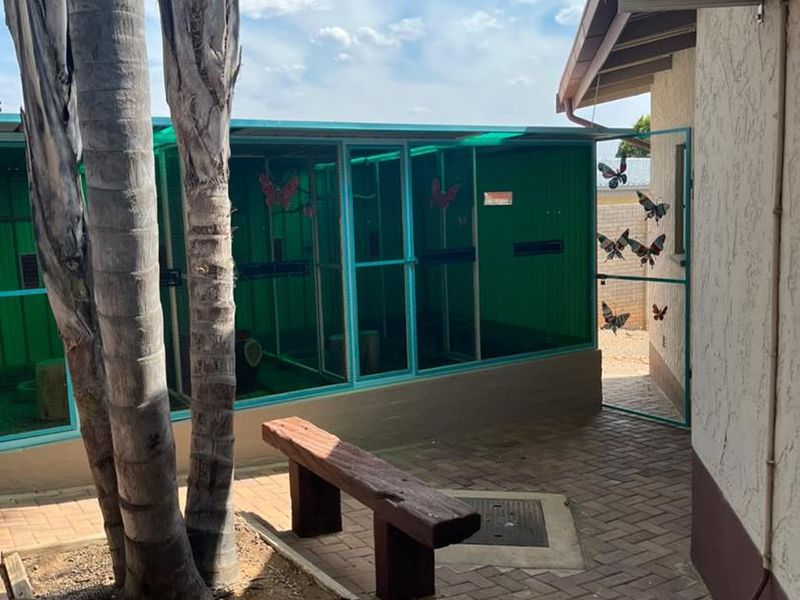 A paved rear courtyard featuring a large enclosed outdoor structure, mature palm trees, and an exterior wall-mounted air conditioning unit.