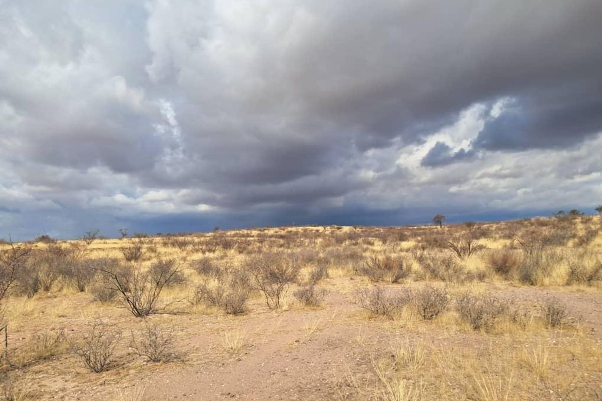 Farm Karnas - Photo 3