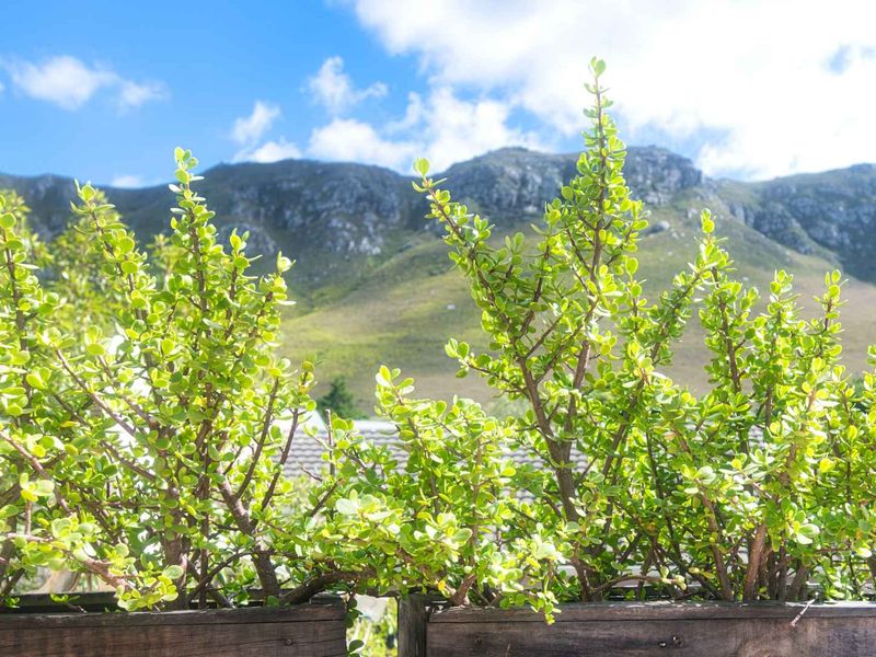 LARGE RESIDENTIAL HOME FOR SALE - Photo 4