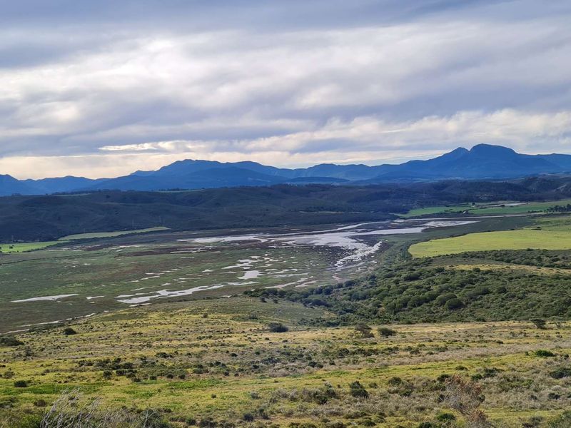 Design your own home on Outeniquasbasch Wildlife estate - Photo 6