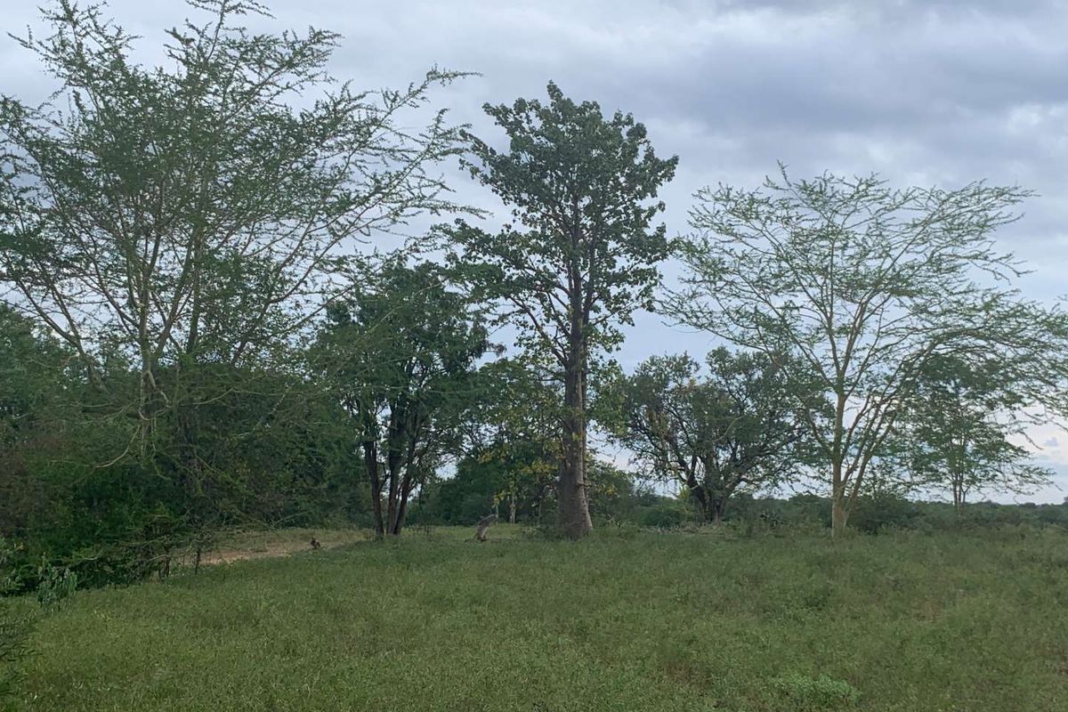 **Commercial Property on the Banks of the Olifants River for sale** - Photo 2