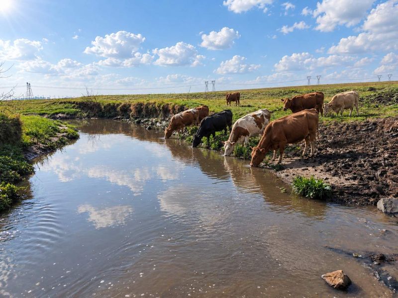 A scenic view of the farm property featuring a natural stream and open grazing pasture land.