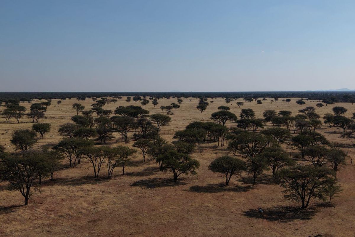 An expansive aerial view of the farm landscape, showcasing the natural terrain and scattered indigenous trees across the property.