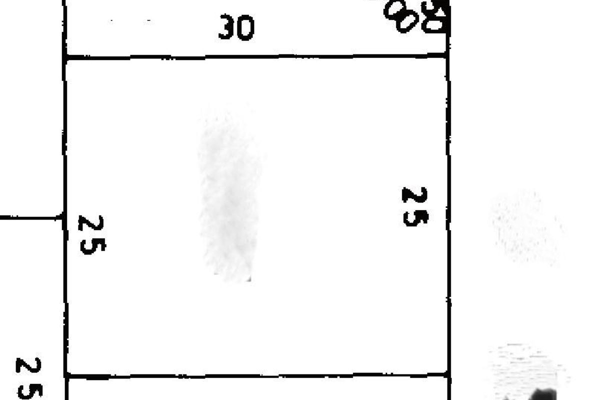 Prime 750m2 Vacant Land in Dana Bay with Sea View - Photo 5