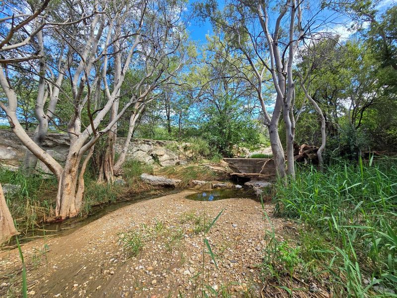 Kunene region, Outjo district:  Beautiful Farm direct off C39 is for Sale - Photo 9