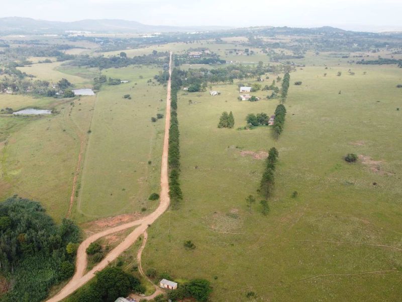 This Beautiful Stand/Farm is situated in the Heart of The Cradle of Humankind. - Photo 8