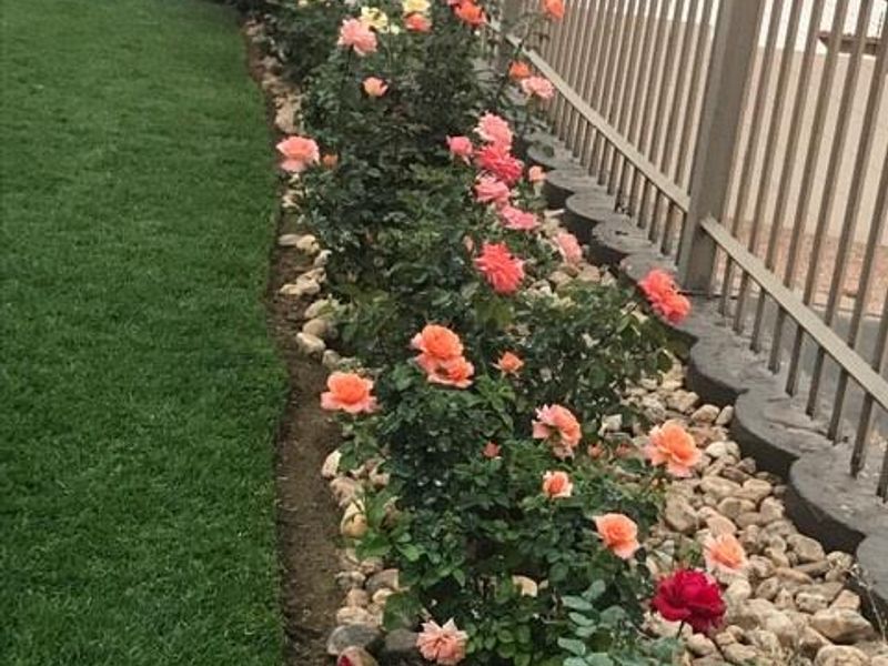 FOR SALE - Stunning House in Auasblick - Photo 5