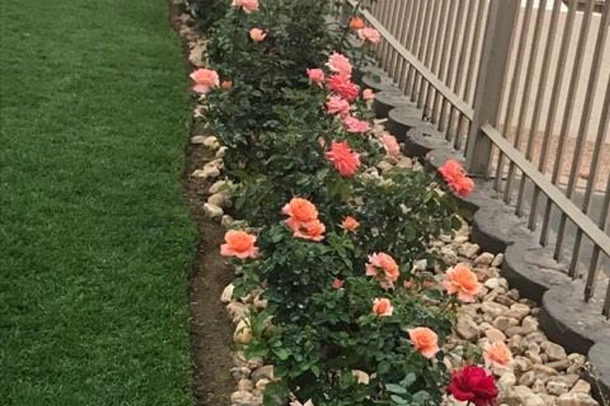 FOR SALE - Stunning House in Auasblick - Photo 5