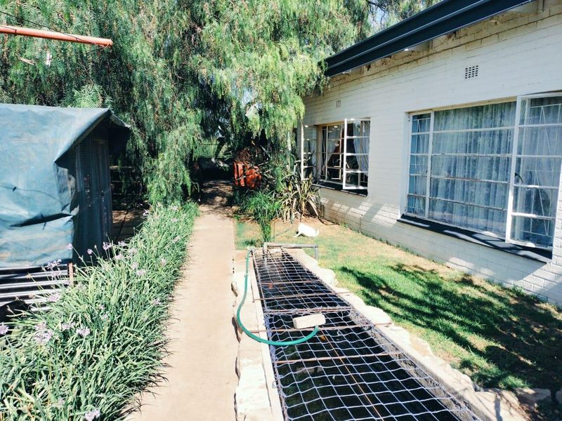 HOUSE IN EXCELLENT CONDITION. BEAUTIFUL GARDEN. BOREHOLE. NO REPAIRS NEEDED. - Photo 6