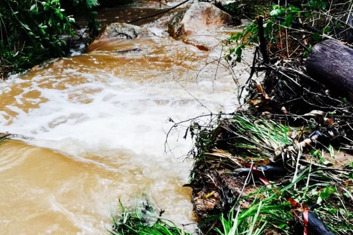 Farm for sale in Louwsburg - Photo 5