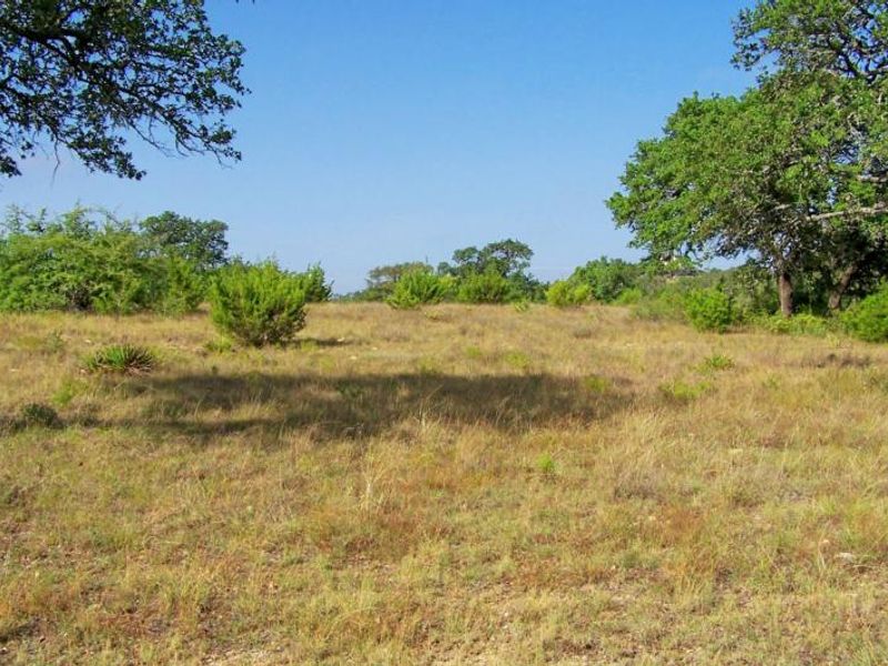 A view of a vacant commercial land plot featuring native grasses and mature trees, offering a natural landscape setting.