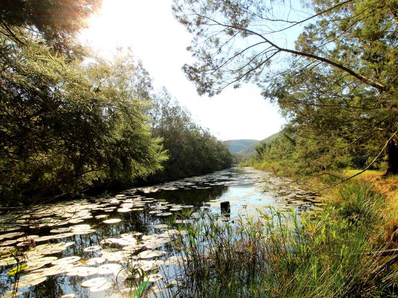 Farm 13 km from Hartenbos - Photo 9