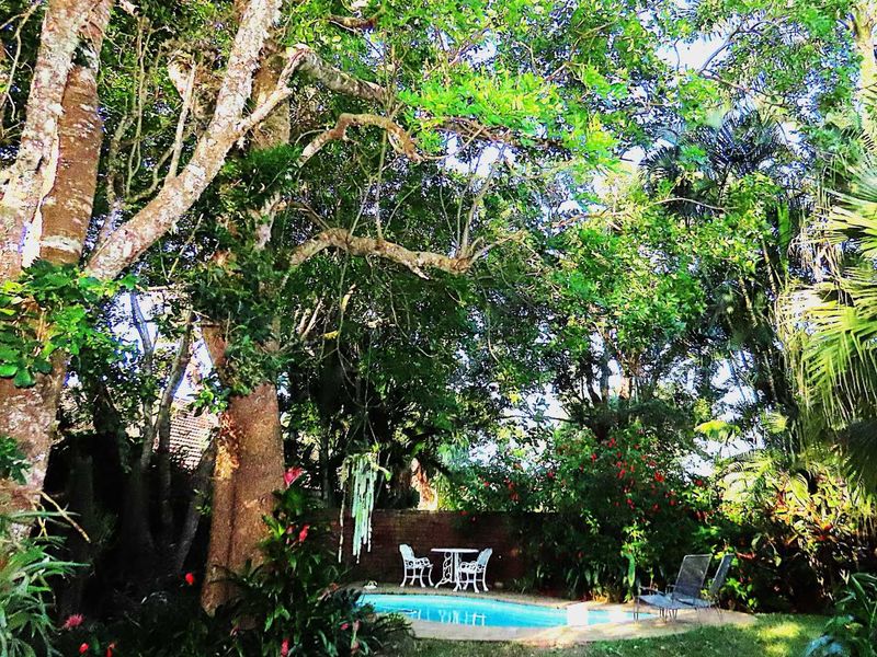 Tranquil Haven in the Heart of St Lucia - Photo 8