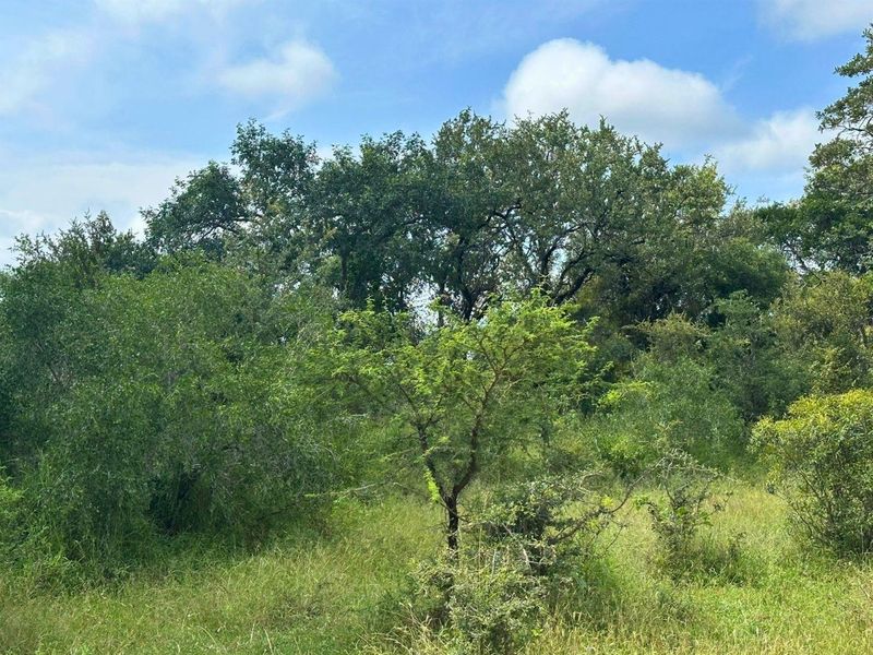 12,000 m2 Riverfront Stand in Moditlo Wildlife Estate - Photo 7