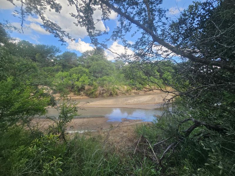 Riverfront stand on Moditlo Wildlife Estate - Photo 2