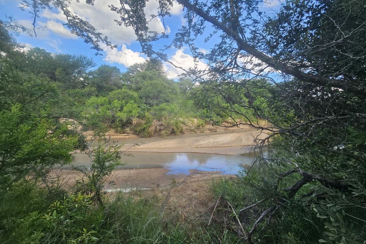 Riverfront stand on Moditlo Wildlife Estate - Photo 2