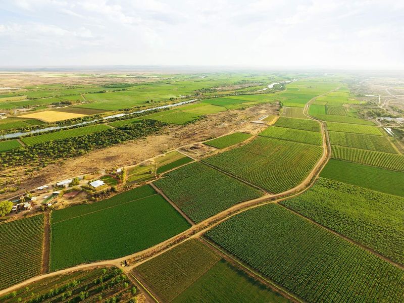 Naftali Lifestyle Estate - Photo 6