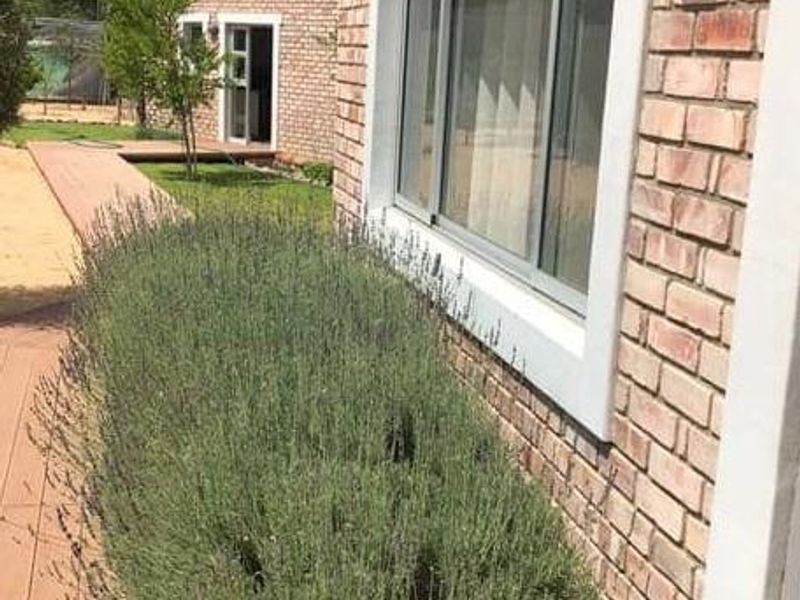 FOR SALE- FARM IN OMARURU, NAMIBIA - Photo 5