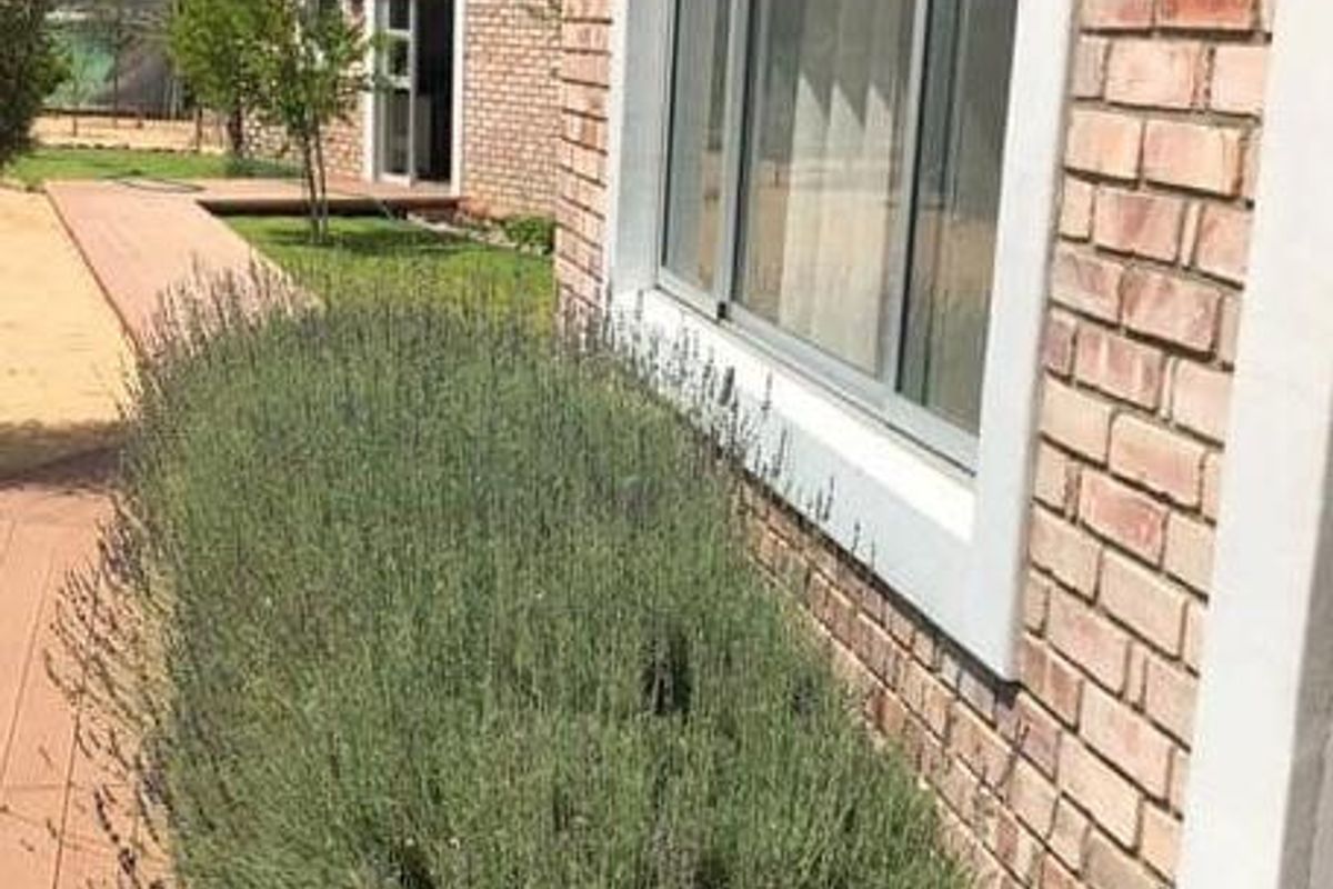 FOR SALE- FARM IN OMARURU, NAMIBIA - Photo 5